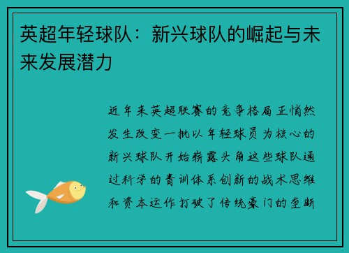 英超年轻球队：新兴球队的崛起与未来发展潜力